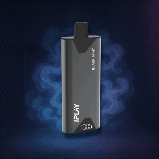IPLAY ELITE 12,000